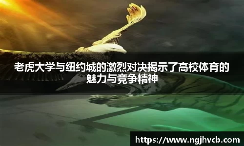 乐发V